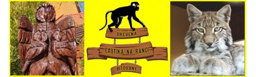 EXOTIKA NA RANČI - ZOO BÍTOVANY - výlet